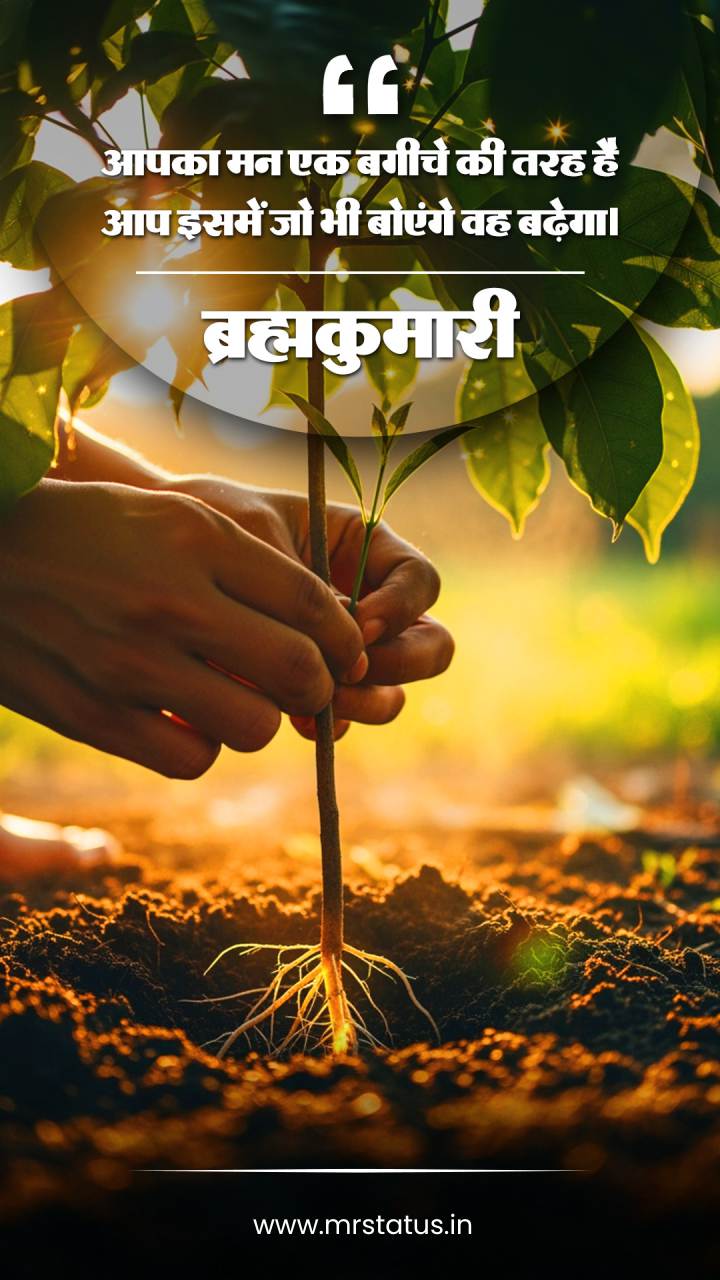 Download free status image